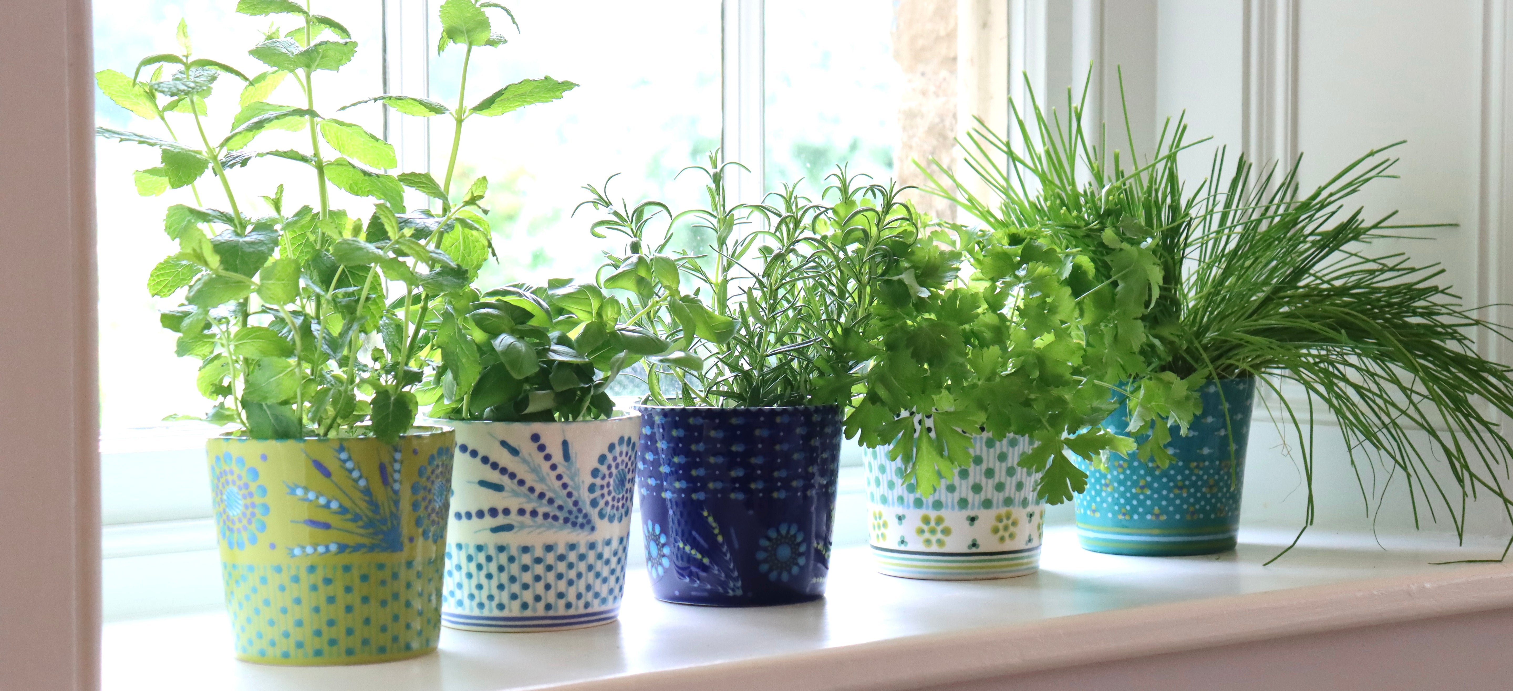 Herb Pots