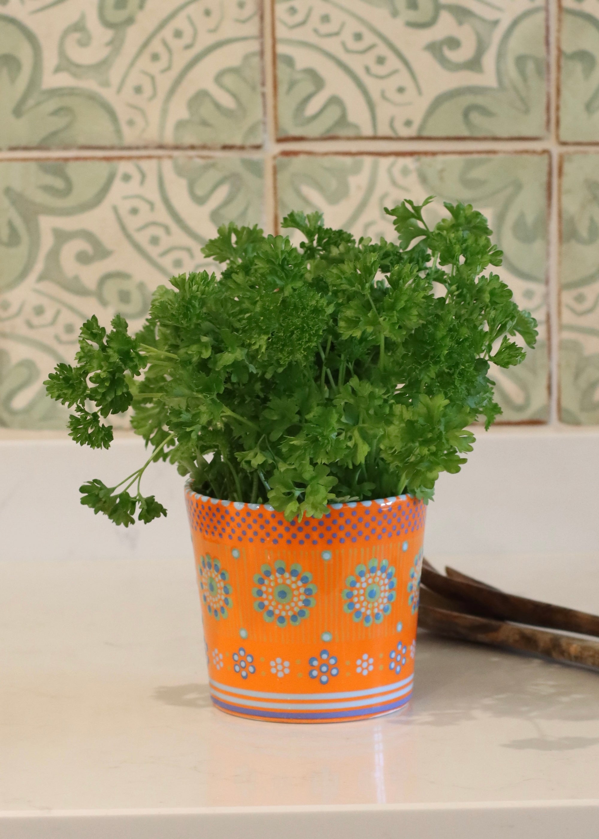 Herb Pot - Orange