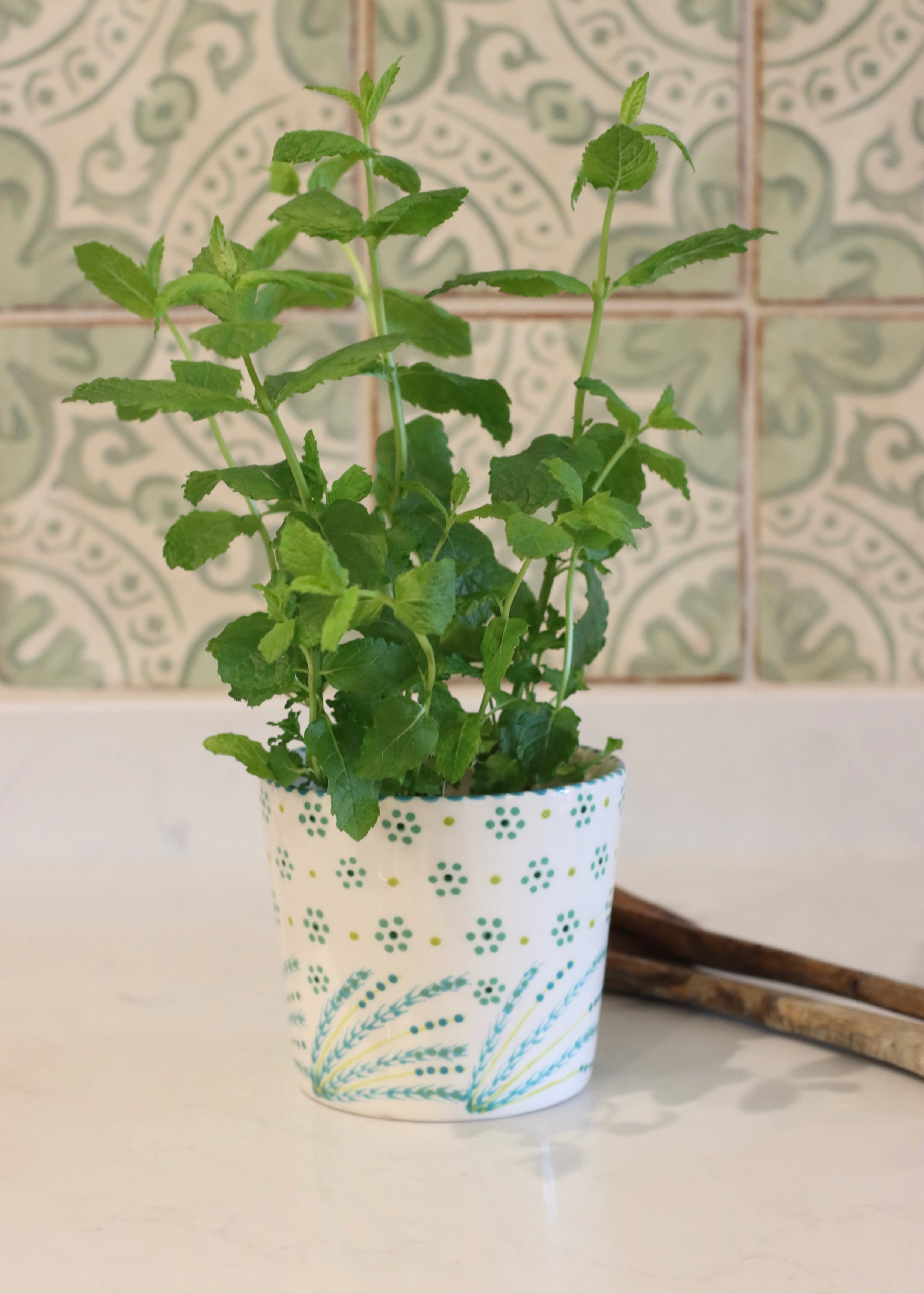 Herb Pot - White with Fronds