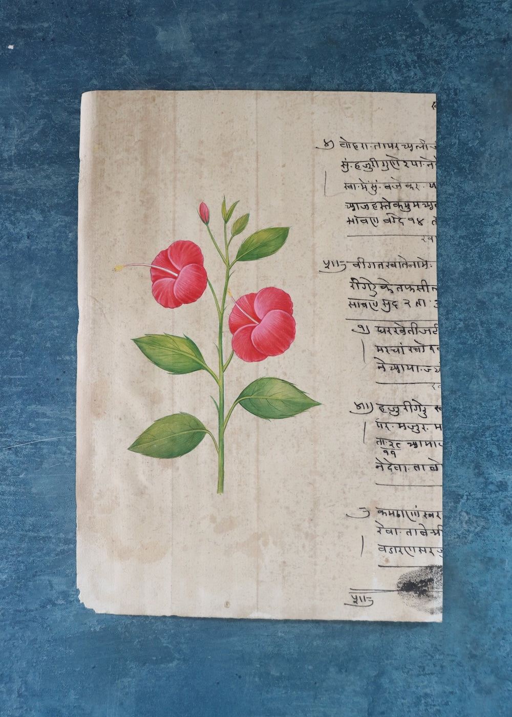 Flower Painting 1