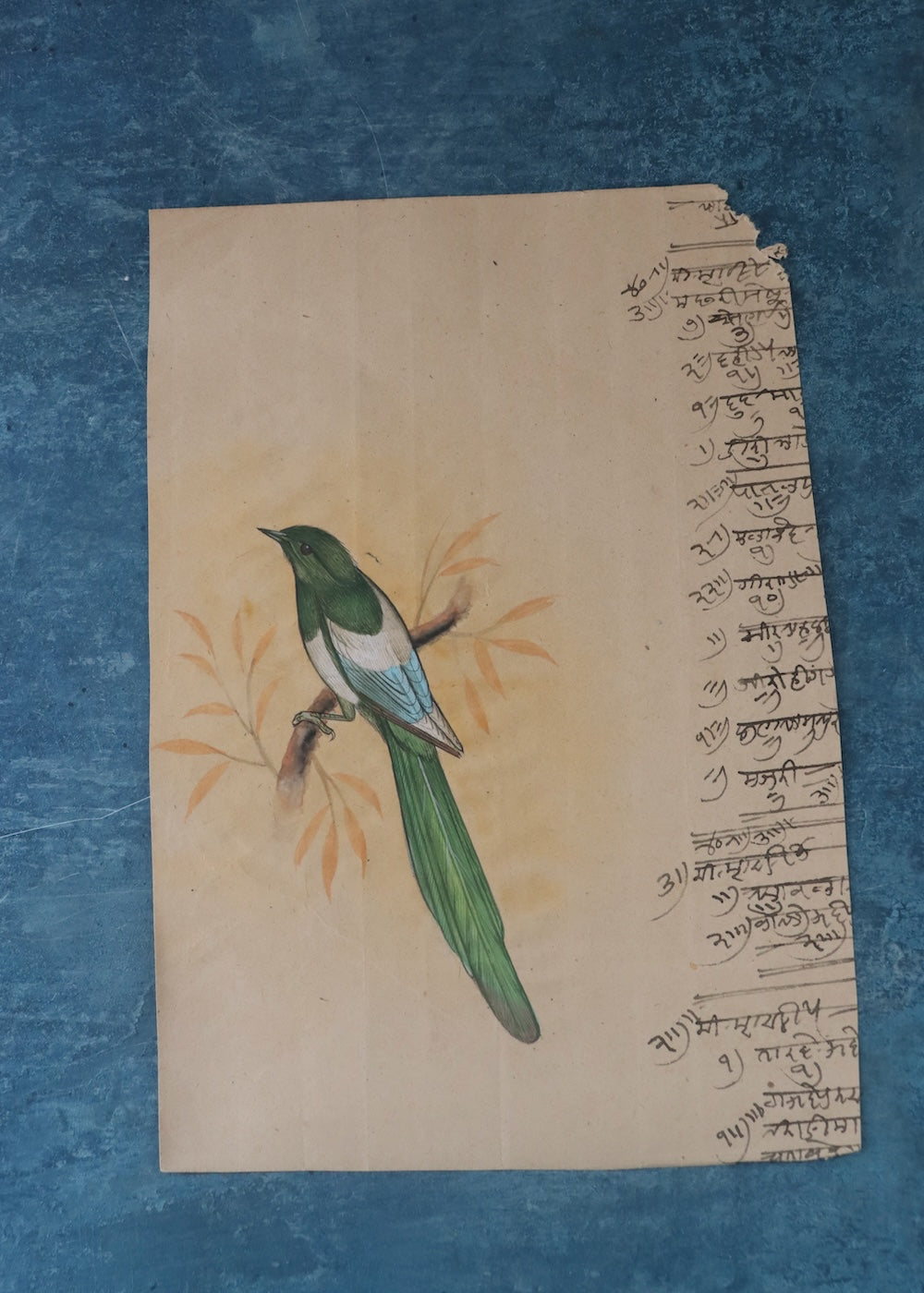 Indian Bird Painting 5