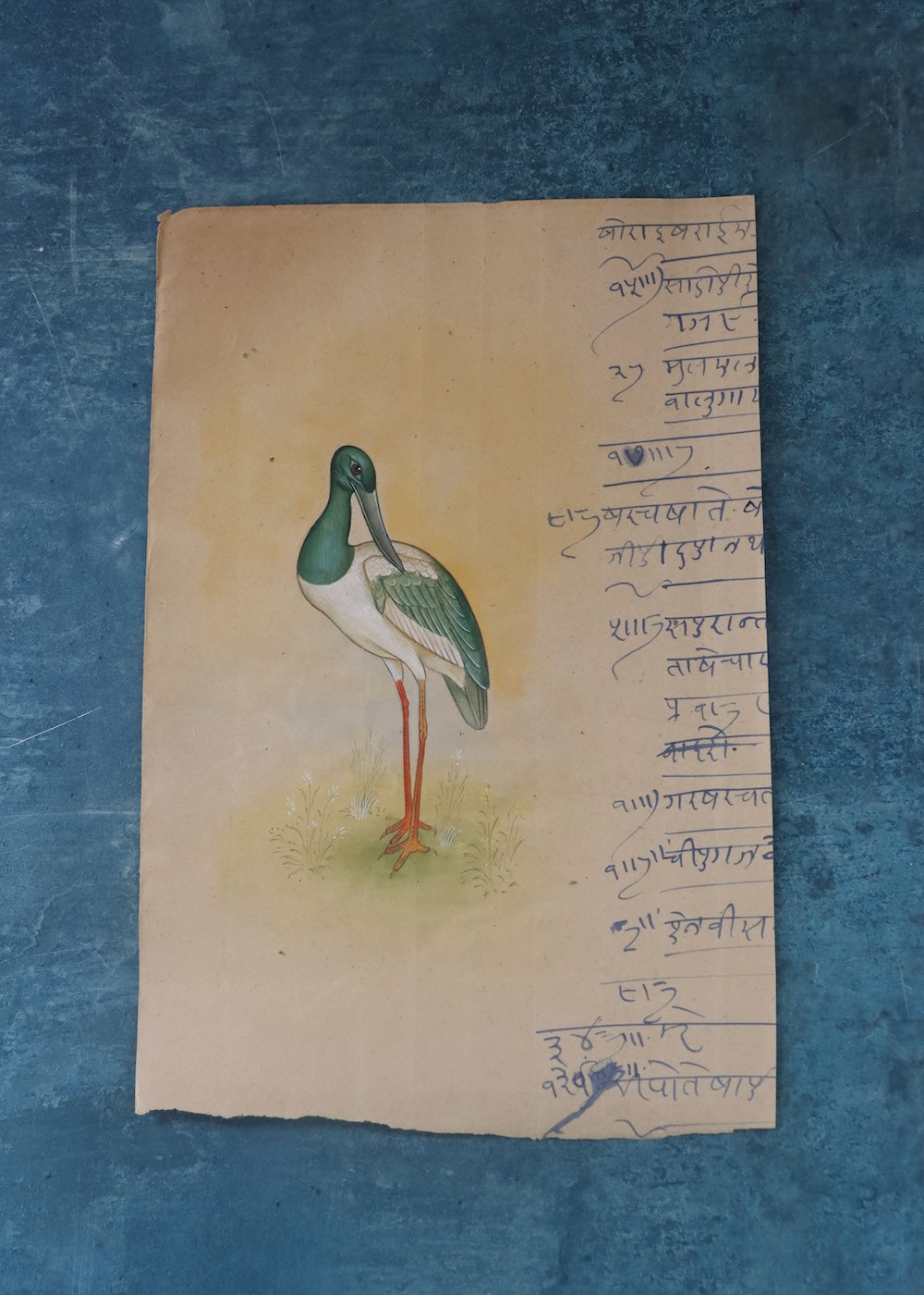 Indian Bird Painting 15