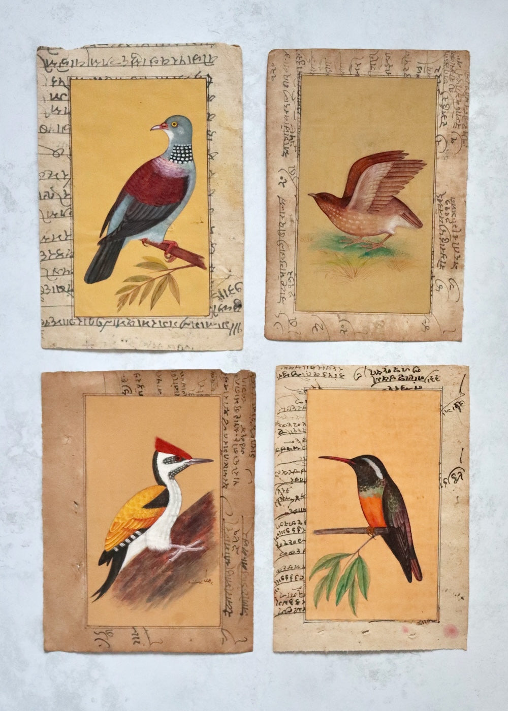 Indian Bird Painting - 12