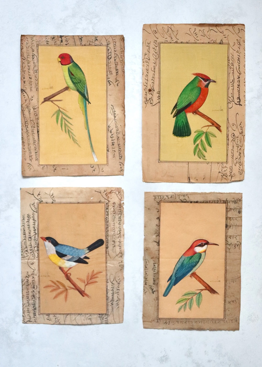 Indian Bird Painting - 12