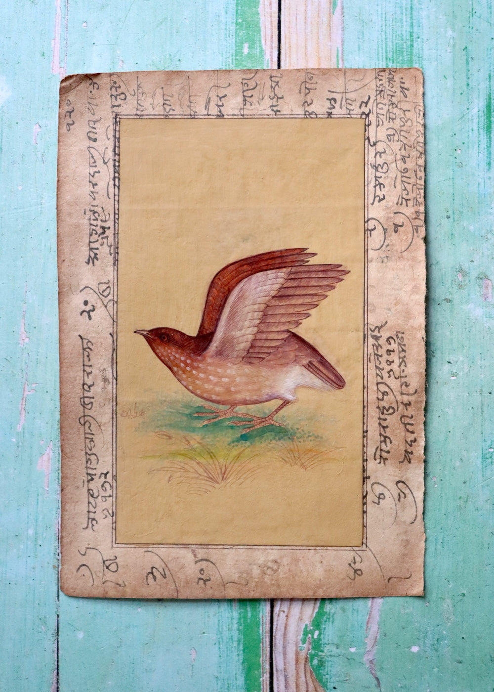 Indian Bird Painting - 7