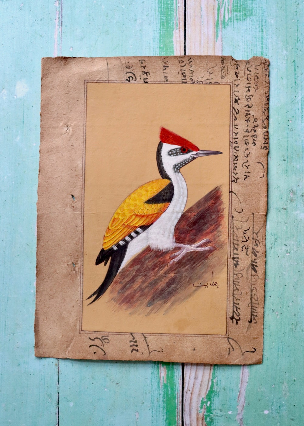 Indian Bird Painting - 8