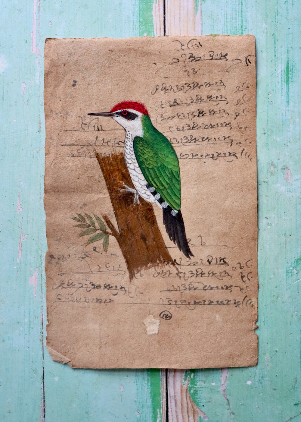 Indian Bird Painting - 11