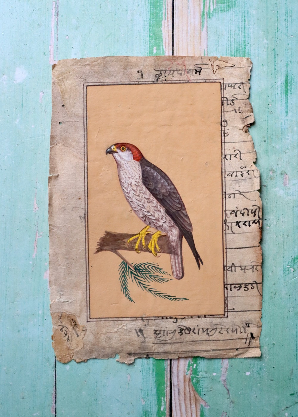 Indian Bird Painting - 12