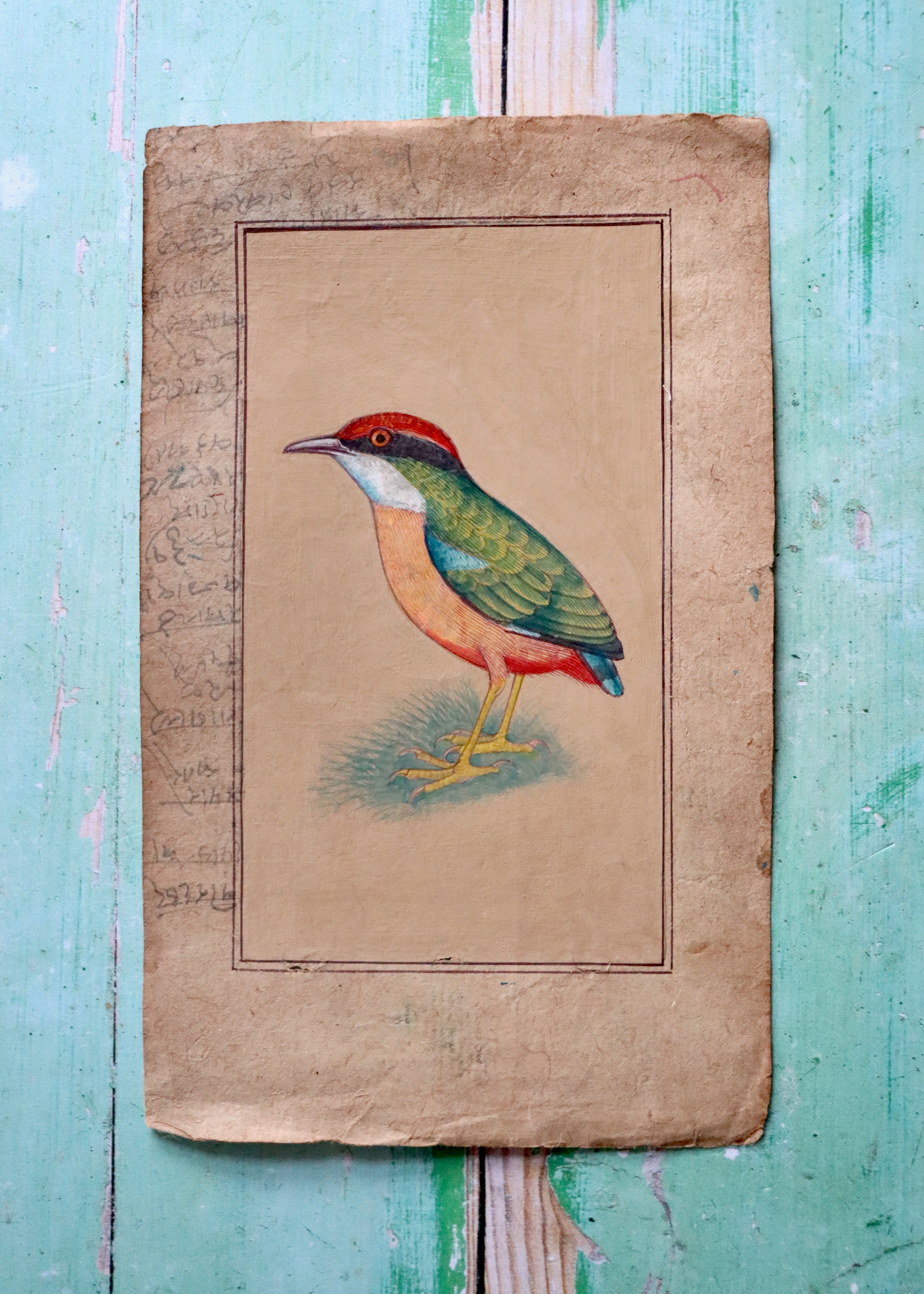 Indian Bird Painting - 13