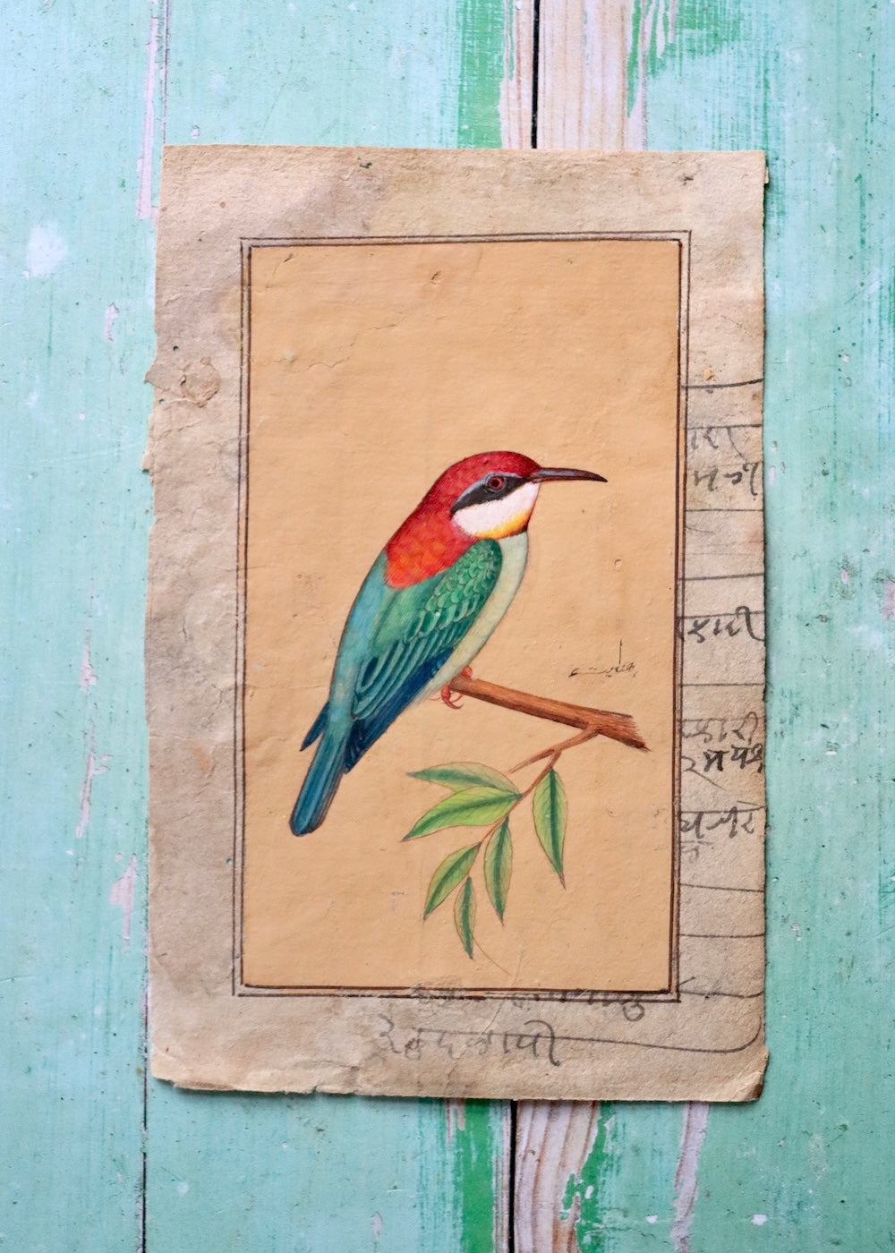 Indian Bird Painting - 16