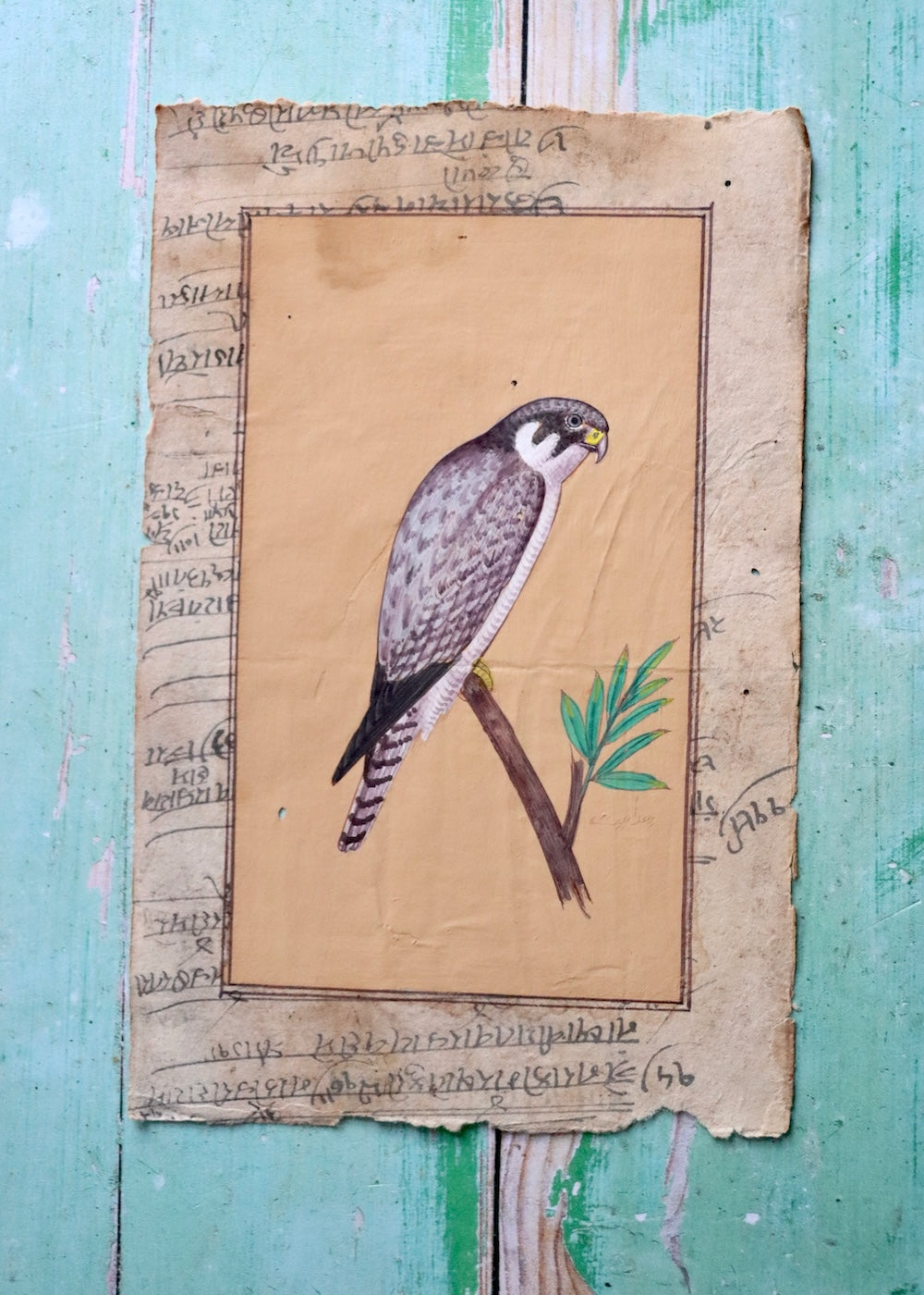 Indian Bird Painting - 19