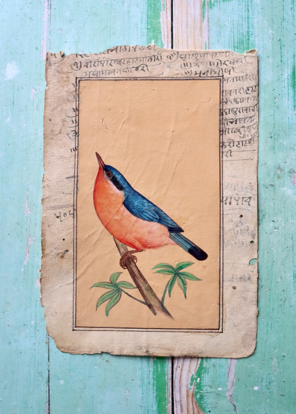 Indian Bird Painting - 20