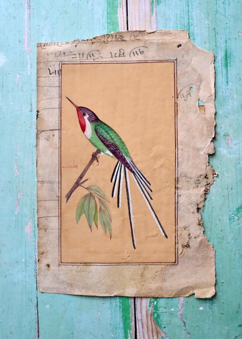 Indian Bird Painting - 27