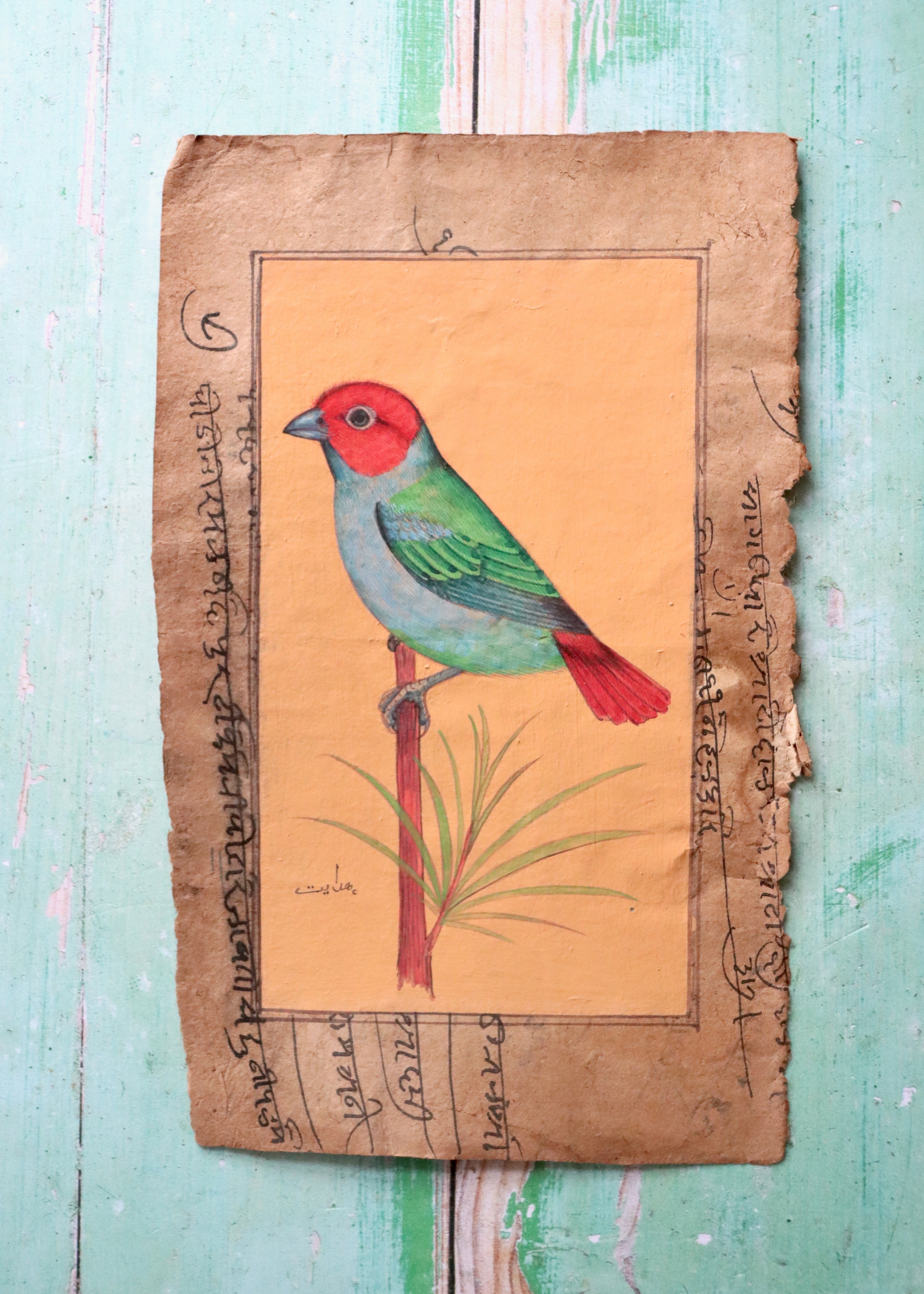 Indian Bird Painting - 29